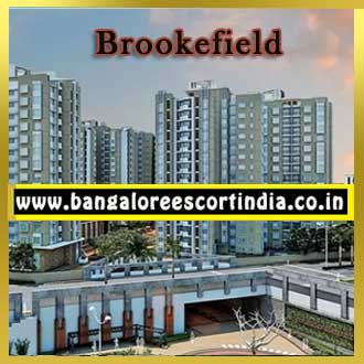 Brookefield Escorts
