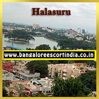 Halasuru Escorts