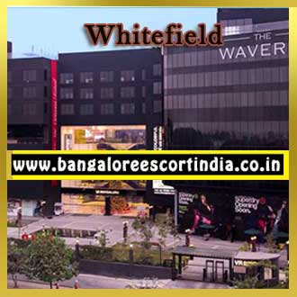 Whitefield Escorts